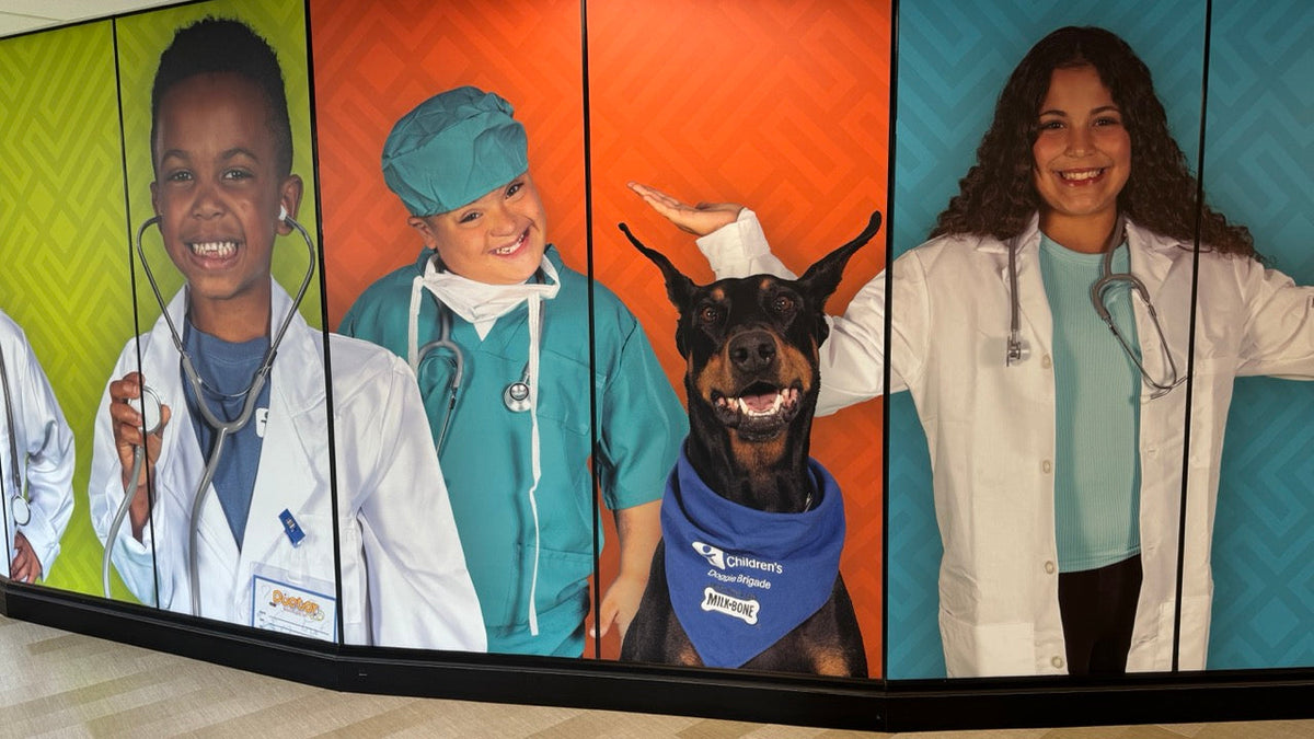 Custom medical facility window graphics for Akron Children's Hospital in Boardman, Ohio.